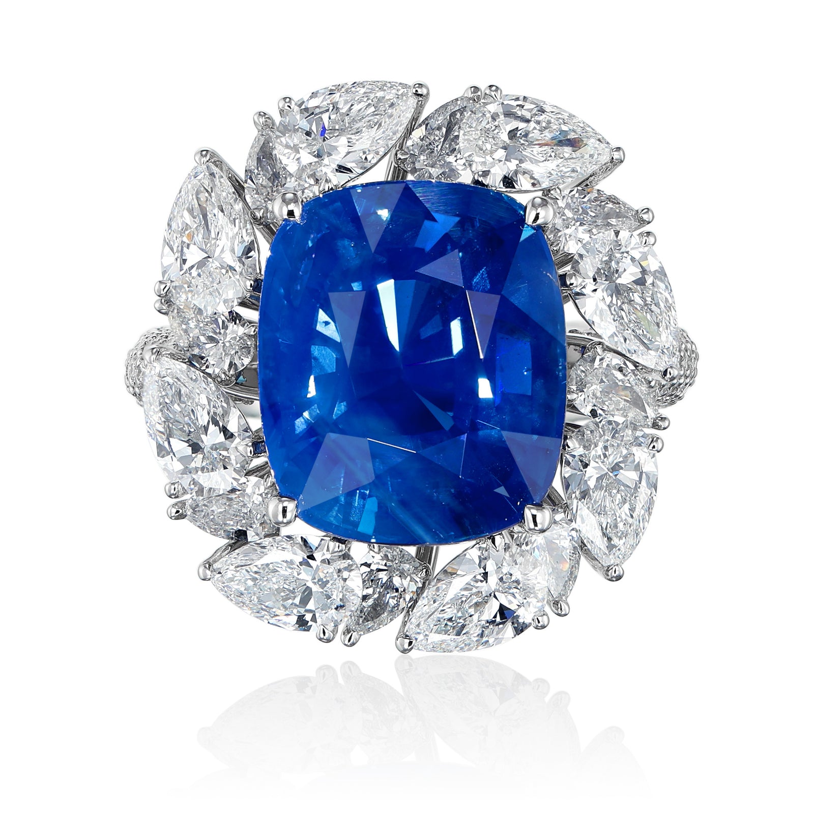 #『Southern blue 』　カノコダカラ貝 Southern blue 』 カノコダカラ貝
